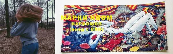 шишки Балахна