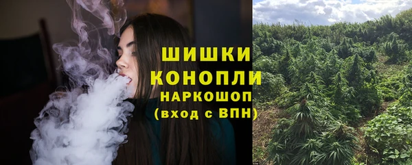 шишки Балахна
