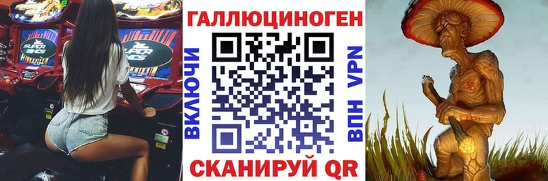где найти   Гай  мега зеркало  Галлюциногенные грибы мицелий 