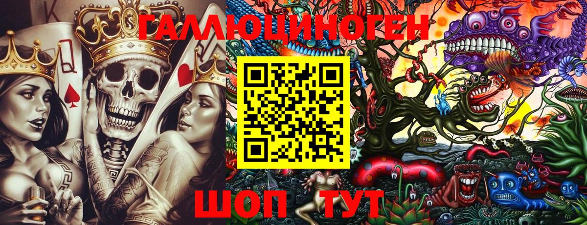 Псилоцибиновые грибы Magic Shrooms  Гай  Галлюциногенные грибы мухоморы 