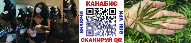 Каннабис сатива  Гай 